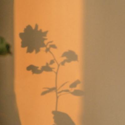 爱体育官方app下载截图