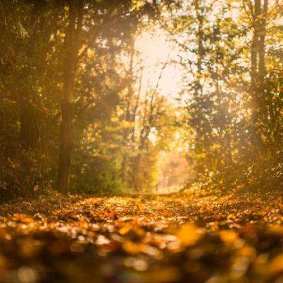 金年会体育登录入口