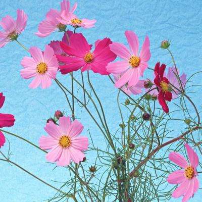 快3平台官网app下载